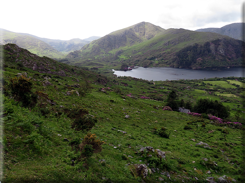 foto Parco di Killarney